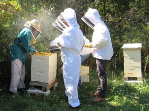 Beekeepers around a boxed beehive