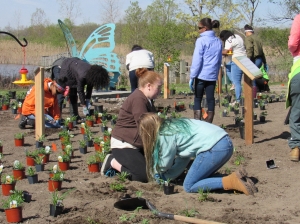 People planting in a garden